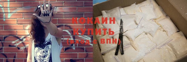 мяу мяу мука Бородино