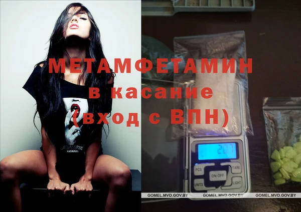 прущие грибы Инта