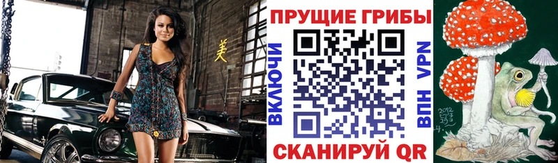 Псилоцибиновые грибы Magic Shrooms  где найти   Реж 